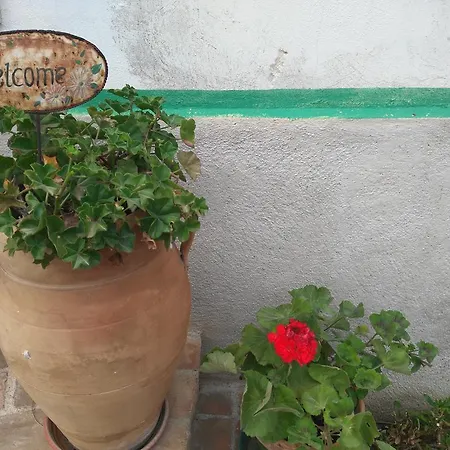 Holiday home L'ulivo Sul Mare *